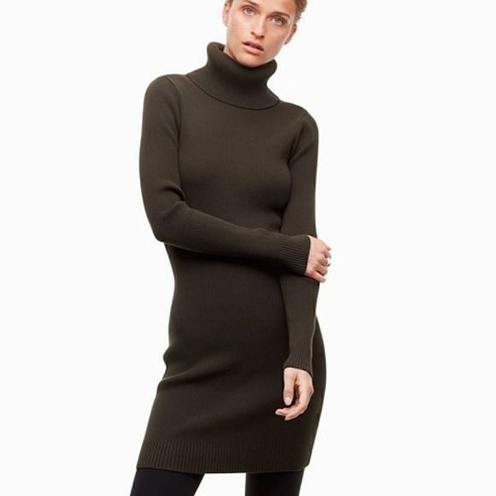 Aritzia Babaton The Group Stefanik Ribbed Long Sleeve Grey Turtleneck Dress XXS